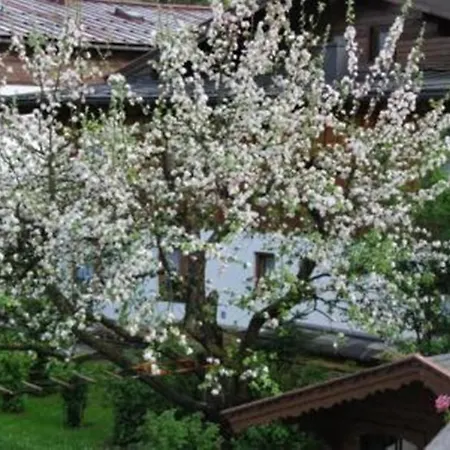 Haus Gertraud *